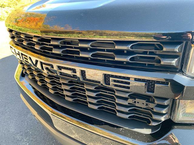 2020 Chevrolet Silverado 1500 Vehicle Photo in MOON TOWNSHIP, PA 15108-2571