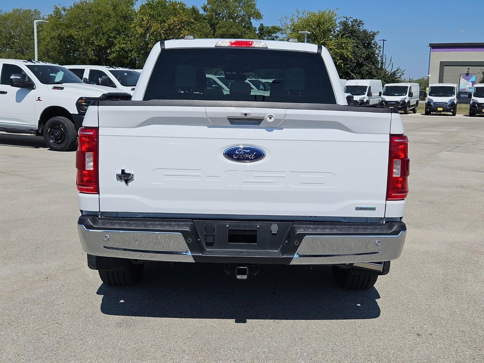 2023 Ford F-150 Vehicle Photo in Seguin, TX 78155