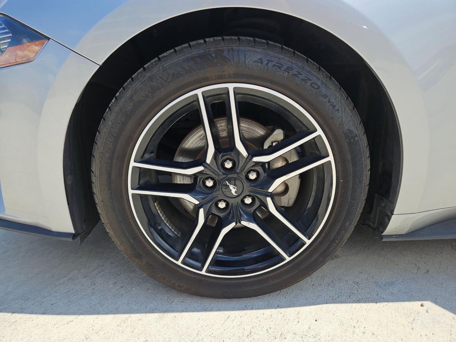 2023 Ford Mustang Vehicle Photo in Seguin, TX 78155