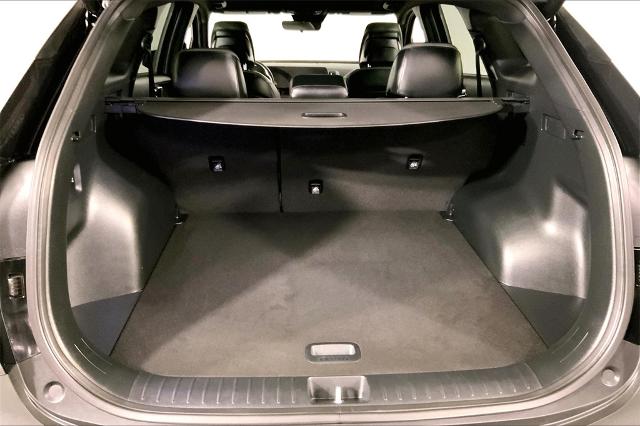 2023 Kia Sportage Vehicle Photo in Lees Summit, MO 64086
