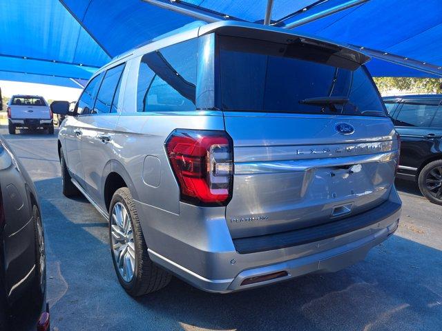 2023 Ford Expedition Vehicle Photo in Decatur, TX 76234