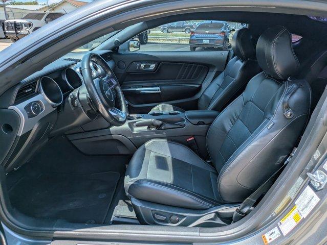 2022 Ford Mustang Vehicle Photo in SELMA, TX 78154-1460
