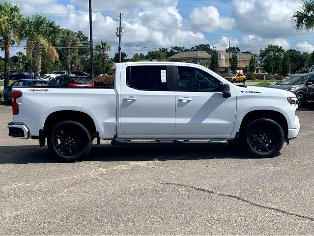 2025 Chevrolet Silverado 1500 Vehicle Photo in BEAUFORT, SC 29906-4218