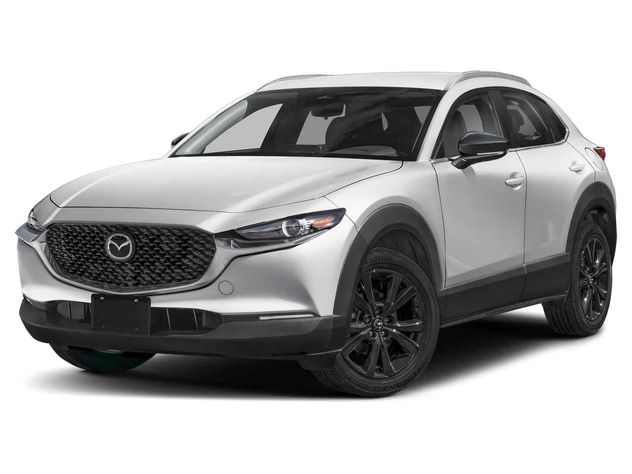 2025 Mazda CX-30 Vehicle Photo in Neenah, WI 54956