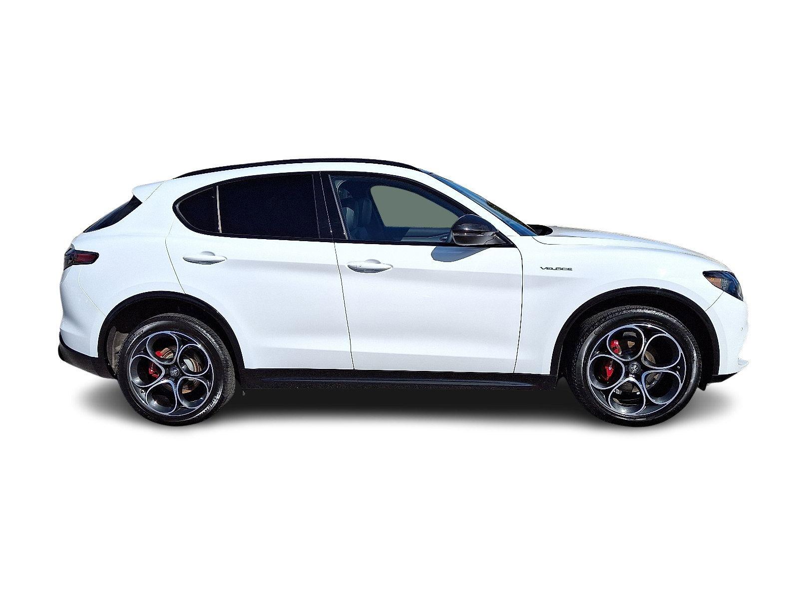 2024 Alfa Romeo Stelvio Vehicle Photo in Willow Grove, PA 19090