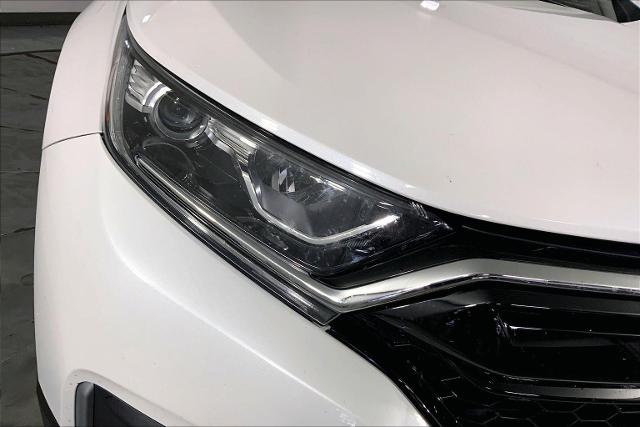 2022 Honda CR-V Vehicle Photo in KANSAS CITY, MO 64114-4502