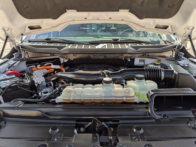 2023 Ford F-150 Vehicle Photo in San Antonio, TX 78230