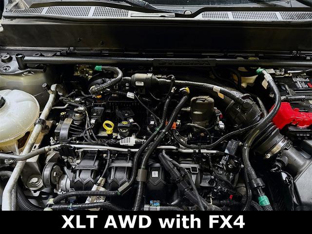 2022 Ford Maverick Vehicle Photo in EVERETT, WA 98203-5662