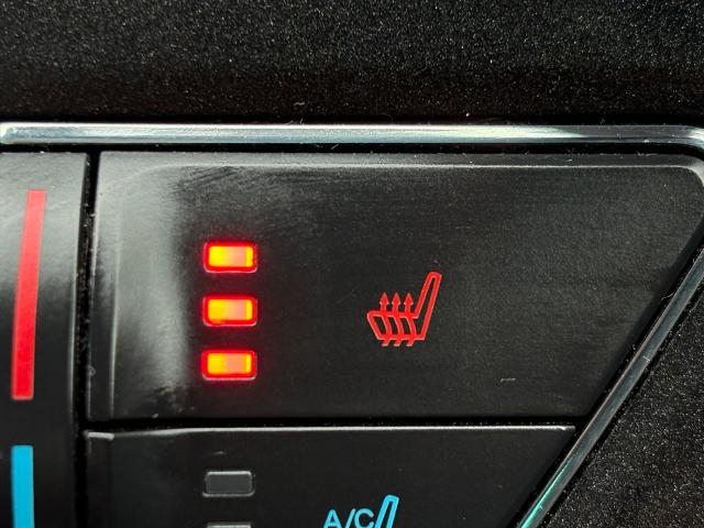 2019 Ford Mustang Vehicle Photo in Statesboro, GA 30458