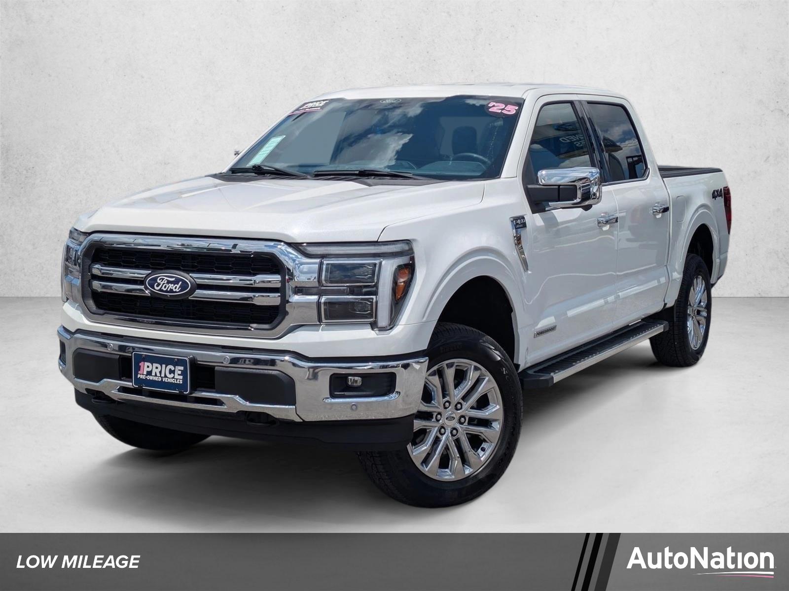 2025 Ford F-150 Vehicle Photo in Bradenton, FL 34207