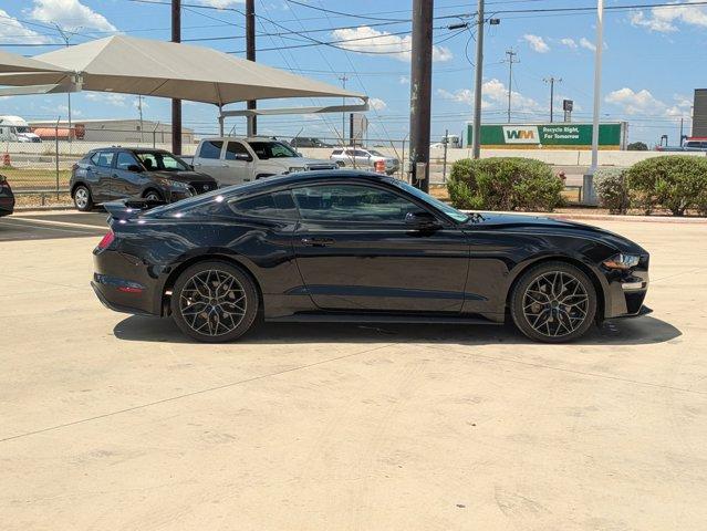 2019 Ford Mustang Vehicle Photo in SELMA, TX 78154-1459