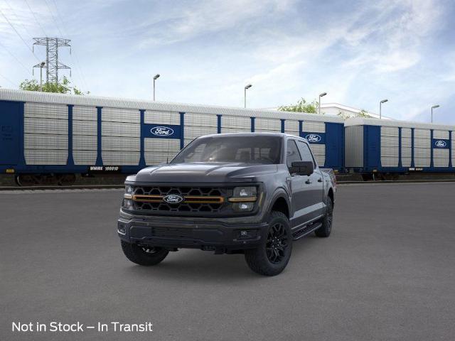 2025 Ford F-150 Vehicle Photo in Weatherford, TX 76087