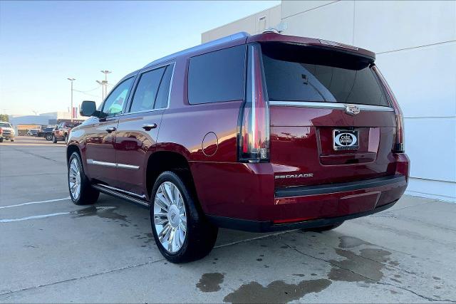 2019 Cadillac Escalade Vehicle Photo in TOPEKA, KS 66609-0000