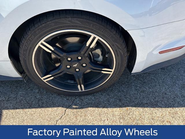 2020 Ford Mustang Vehicle Photo in Weatherford, TX 76087