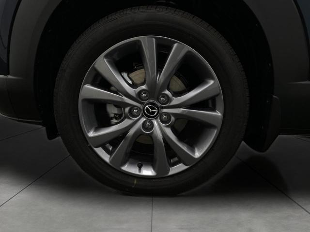 2025 Mazda CX-30 Vehicle Photo in Appleton, WI 54913