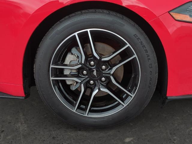2018 Ford Mustang Vehicle Photo in Brunswick, GA 31525