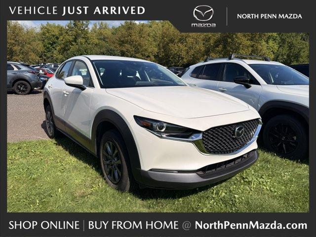 2023 Mazda CX-30 Vehicle Photo in COLMAR, PA 18915