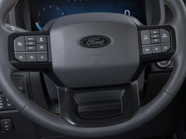 2025 Ford F-150 Vehicle Photo in Weatherford, TX 76087