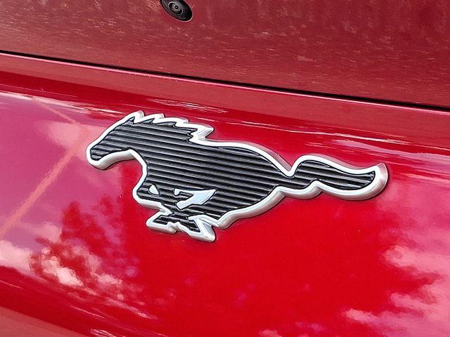 2021 Ford Mustang Mach-E Vehicle Photo in DANBURY, CT 06810-5034