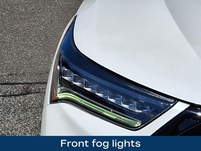 2019 Acura RDX Vehicle Photo in DANBURY, CT 06810-5034