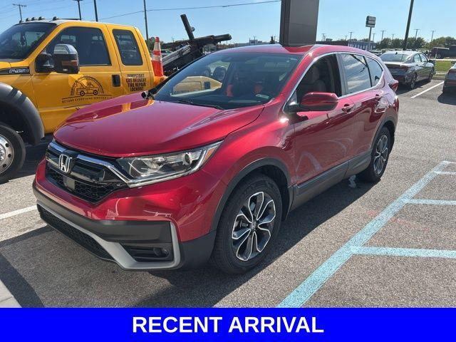 2022 Honda CR-V Vehicle Photo in Merrillville, IN 46410
