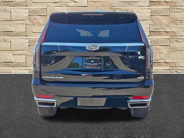 2024 Cadillac Escalade Vehicle Photo in DANBURY, CT 06810-5034
