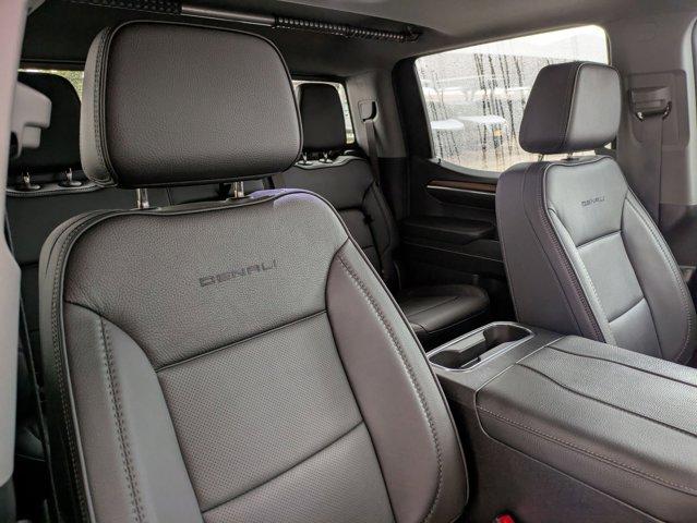 2024 GMC Sierra 1500 Vehicle Photo in San Antonio, TX 78209