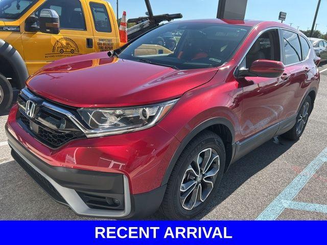 2022 Honda CR-V Vehicle Photo in Merrillville, IN 46410