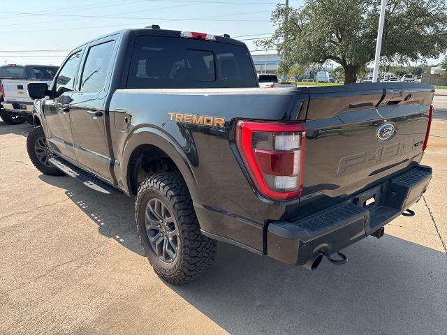 2022 Ford F-150 Vehicle Photo in Weatherford, TX 76087