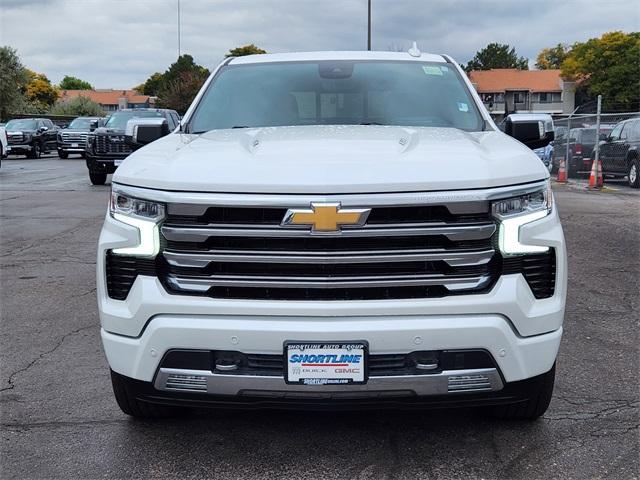 2024 Chevrolet Silverado 1500 Vehicle Photo in AURORA, CO 80012-4011