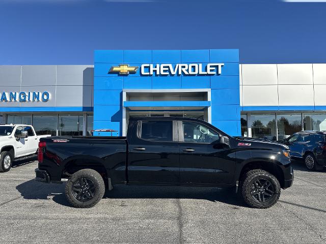 2026 Chevrolet Silverado 1500 Vehicle Photo in AMSTERDAM, NY 12010-6209