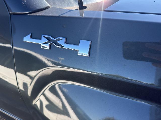 2019 GMC Sierra 1500 Limited Vehicle Photo in Statesboro, GA 30458