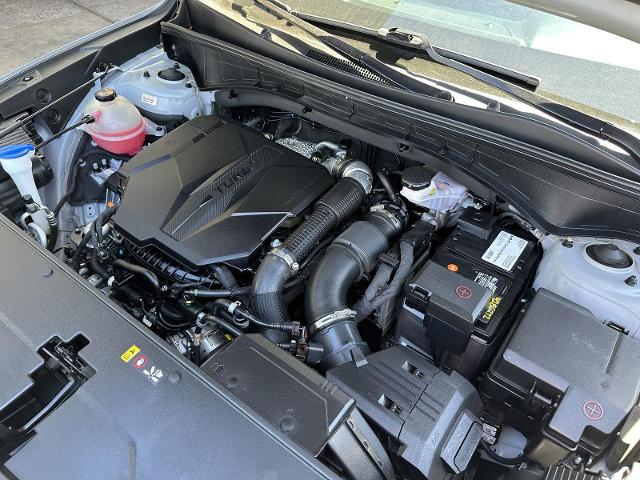 2022 Kia Sorento Vehicle Photo in Tucson, AZ 85712