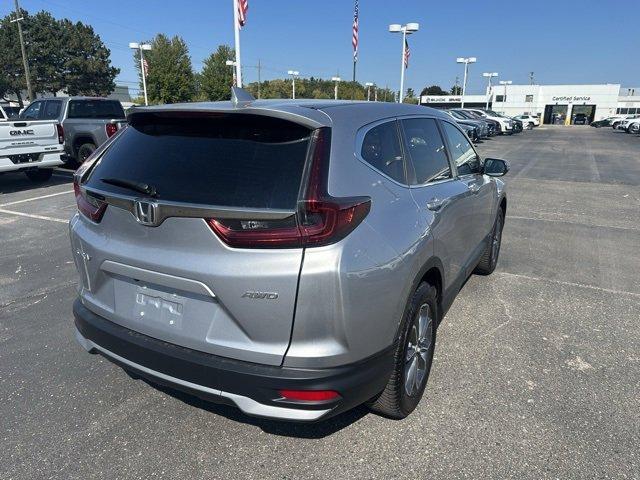 2022 Honda CR-V Vehicle Photo in ROCHESTER HILLS, MI 48307-2741