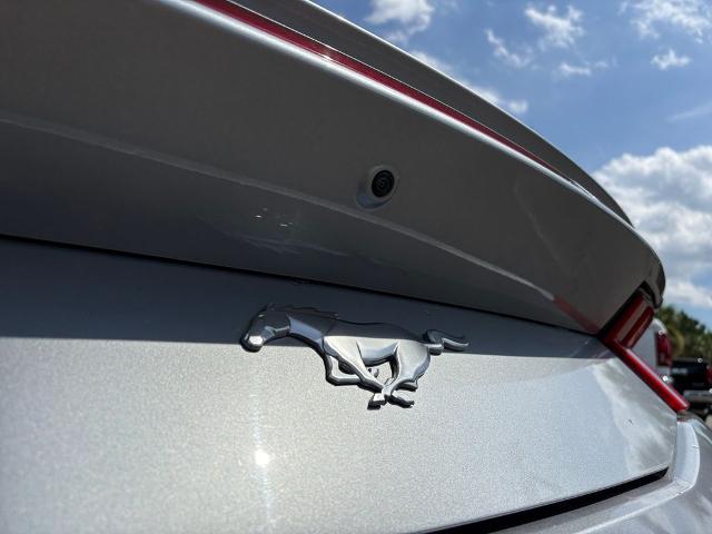 2024 Ford Mustang Vehicle Photo in Savannah, GA 31419