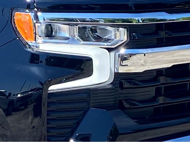2025 Chevrolet Silverado 1500 Vehicle Photo in SAVANNAH, GA 31406-4513