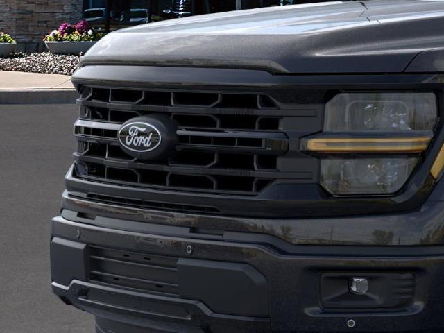 2025 Ford F-150 Vehicle Photo in Weatherford, TX 76087