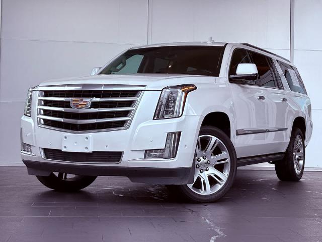 2017 Cadillac Escalade ESV Vehicle Photo in HOUSTON, TX 77079