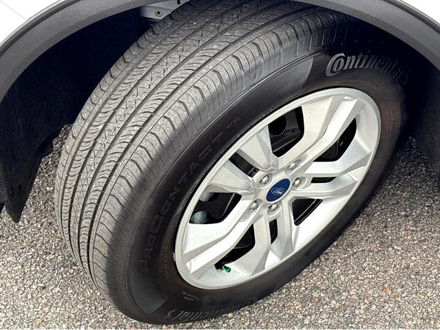 2024 Ford Escape Vehicle Photo in BEAUFORT, SC 29906-4218