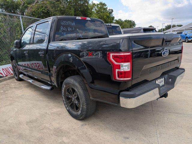 2019 Ford F-150 Vehicle Photo in SELMA, TX 78154-1459