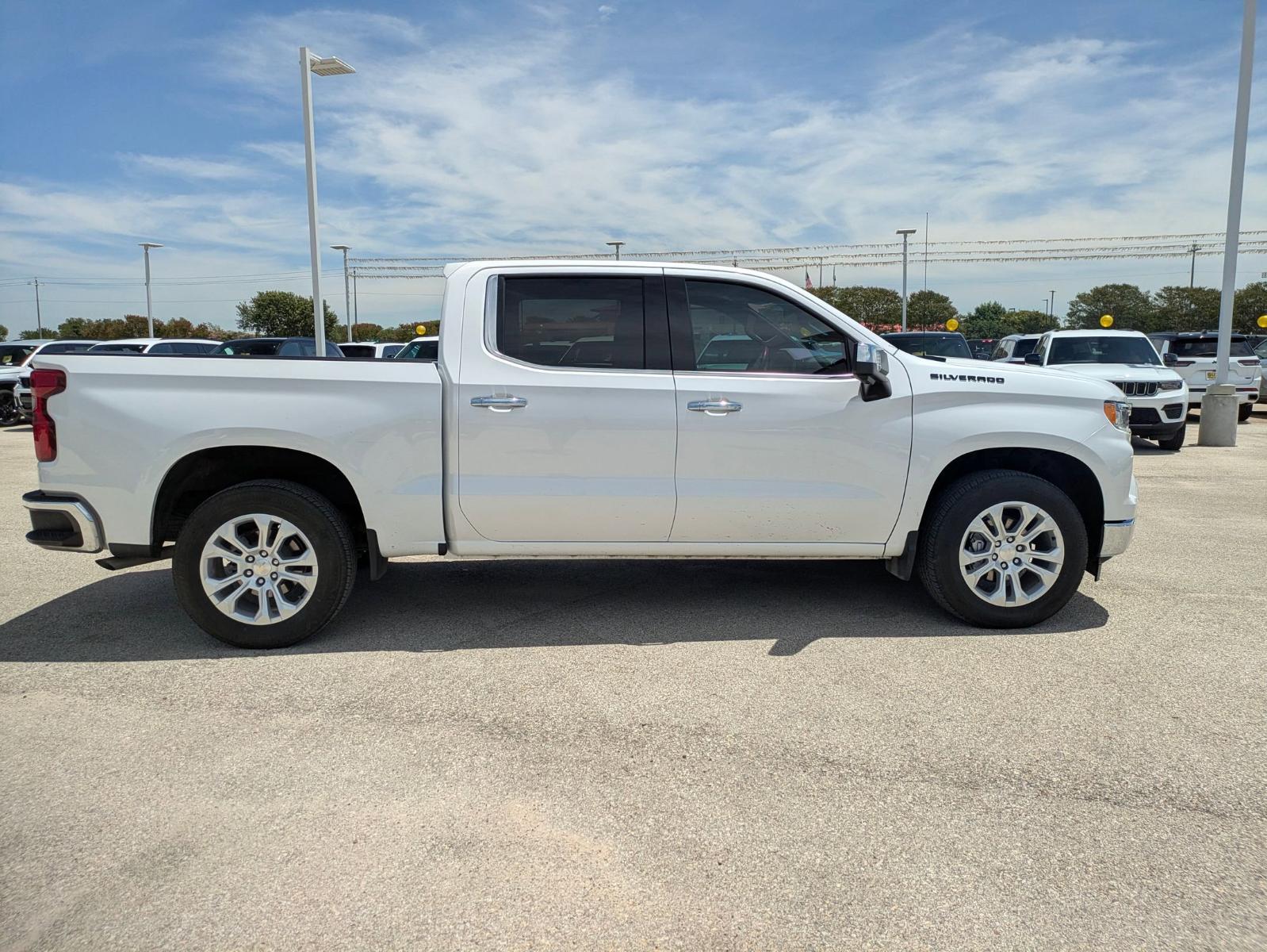 2023 Chevrolet Silverado 1500 Vehicle Photo in Seguin, TX 78155