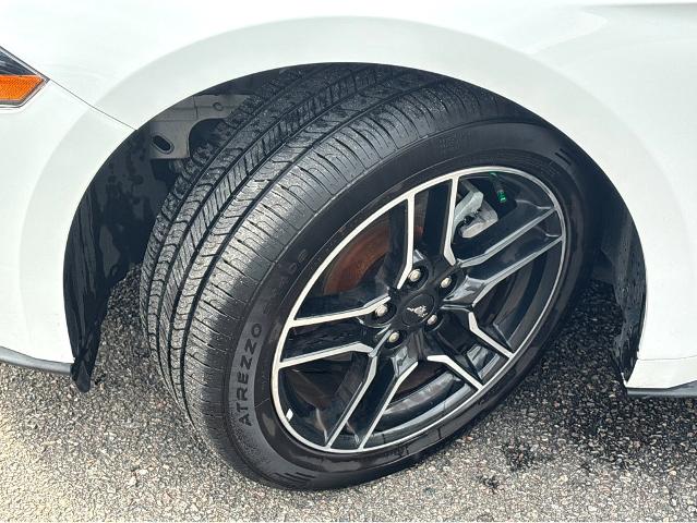 2022 Ford Mustang Vehicle Photo in BEAUFORT, SC 29906-4218