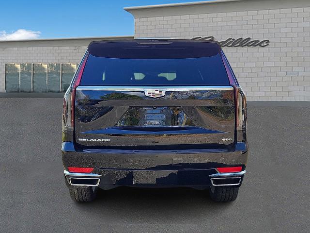 2024 Cadillac Escalade ESV Vehicle Photo in TREVOSE, PA 19053-4984