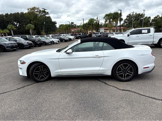 2022 Ford Mustang Vehicle Photo in BEAUFORT, SC 29906-4218