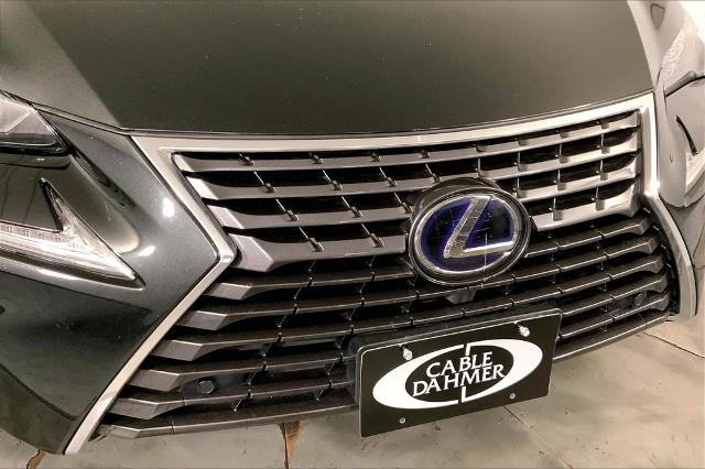 2020 Lexus NX 300h Vehicle Photo in Lees Summit, MO 64086