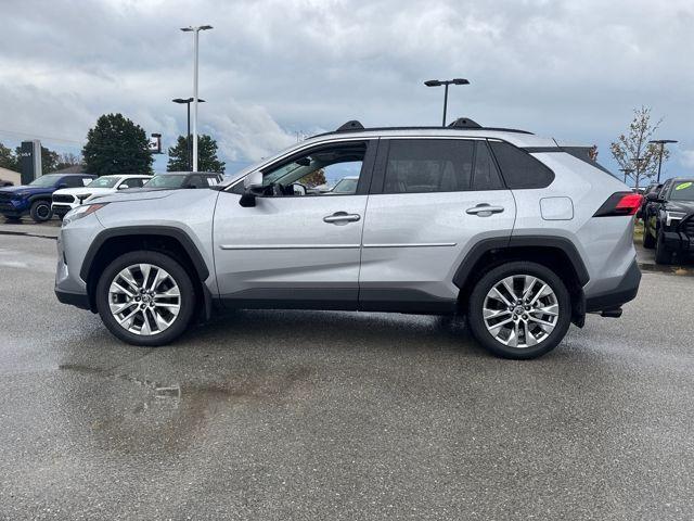 2025 Toyota RAV4 Vehicle Photo in Jonesboro, AR 72404