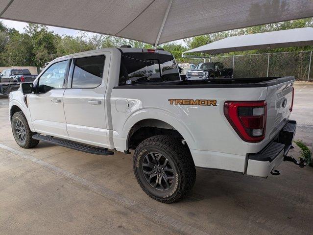 2023 Ford F-150 Vehicle Photo in SELMA, TX 78154-1459