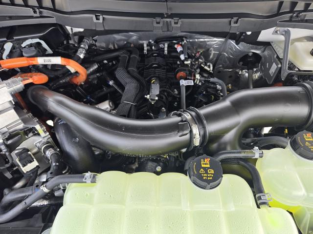 2025 Ford F-150 Vehicle Photo in Weatherford, TX 76087