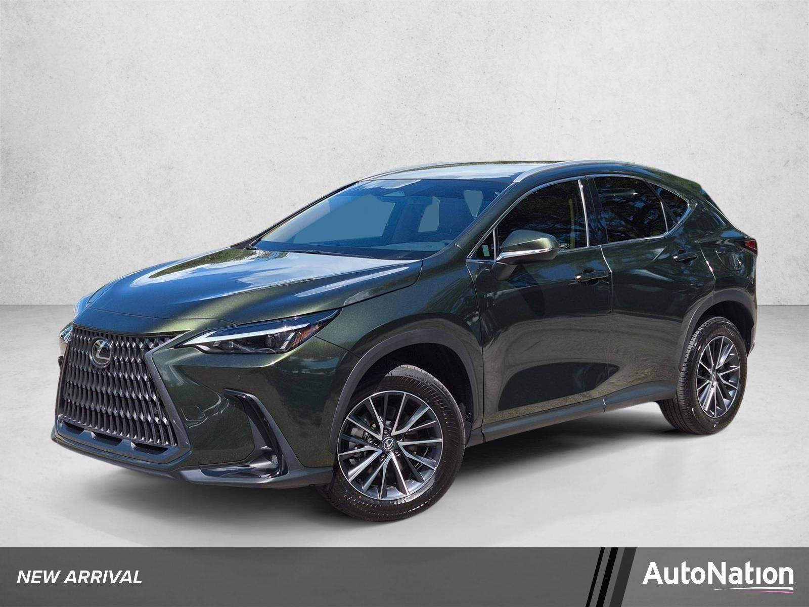 2025 Lexus NX 250 Vehicle Photo in Tampa, FL 33614