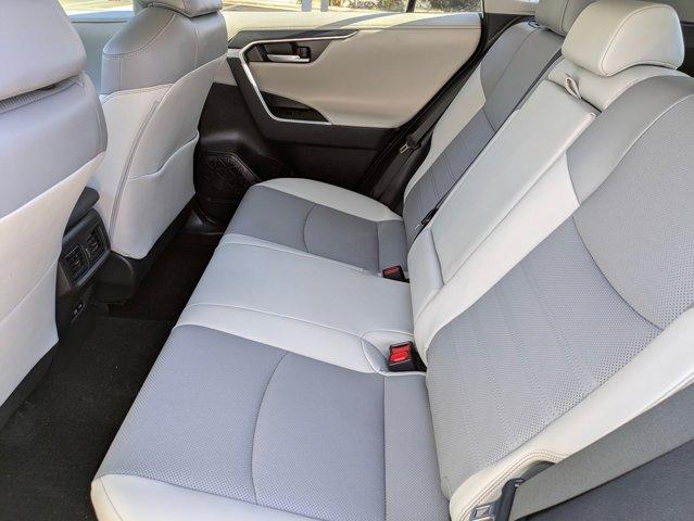 2023 Toyota RAV4 Vehicle Photo in San Antonio, TX 78209